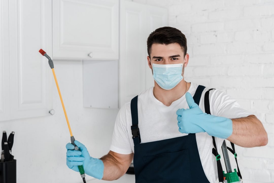 Emergency Pest Control in Sharjah: What to do in case of an infestation.