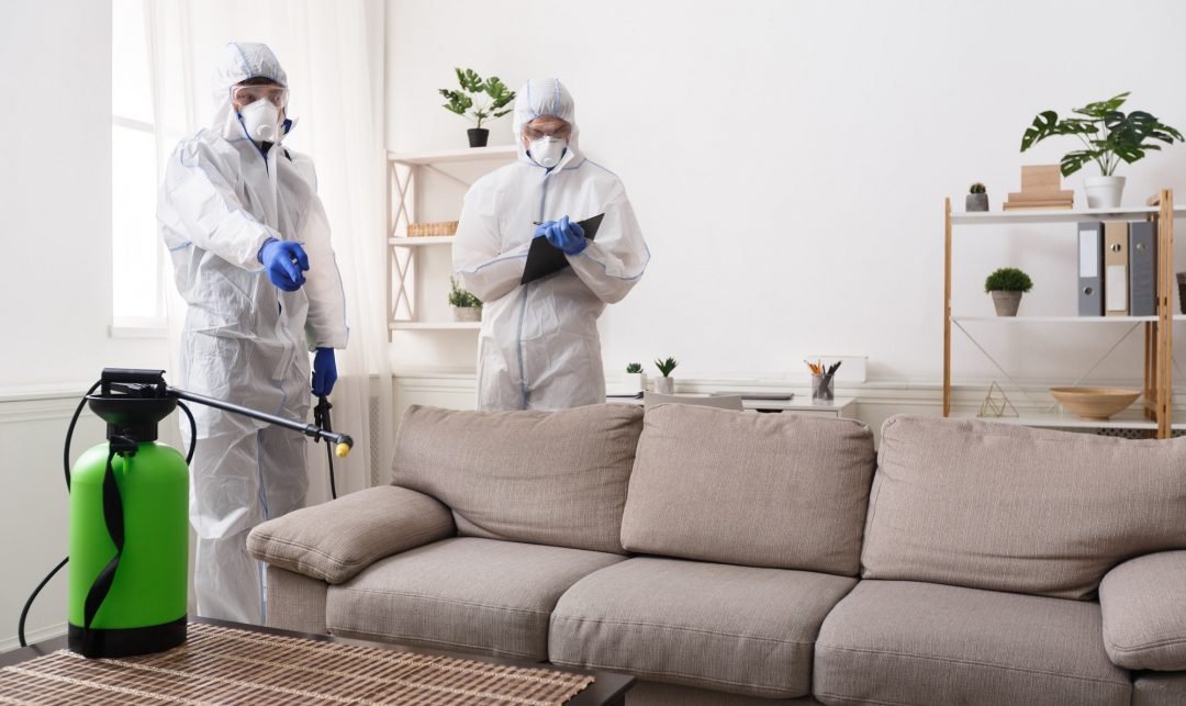 Debunking Cockroach Pest Control Myths in Sharjah