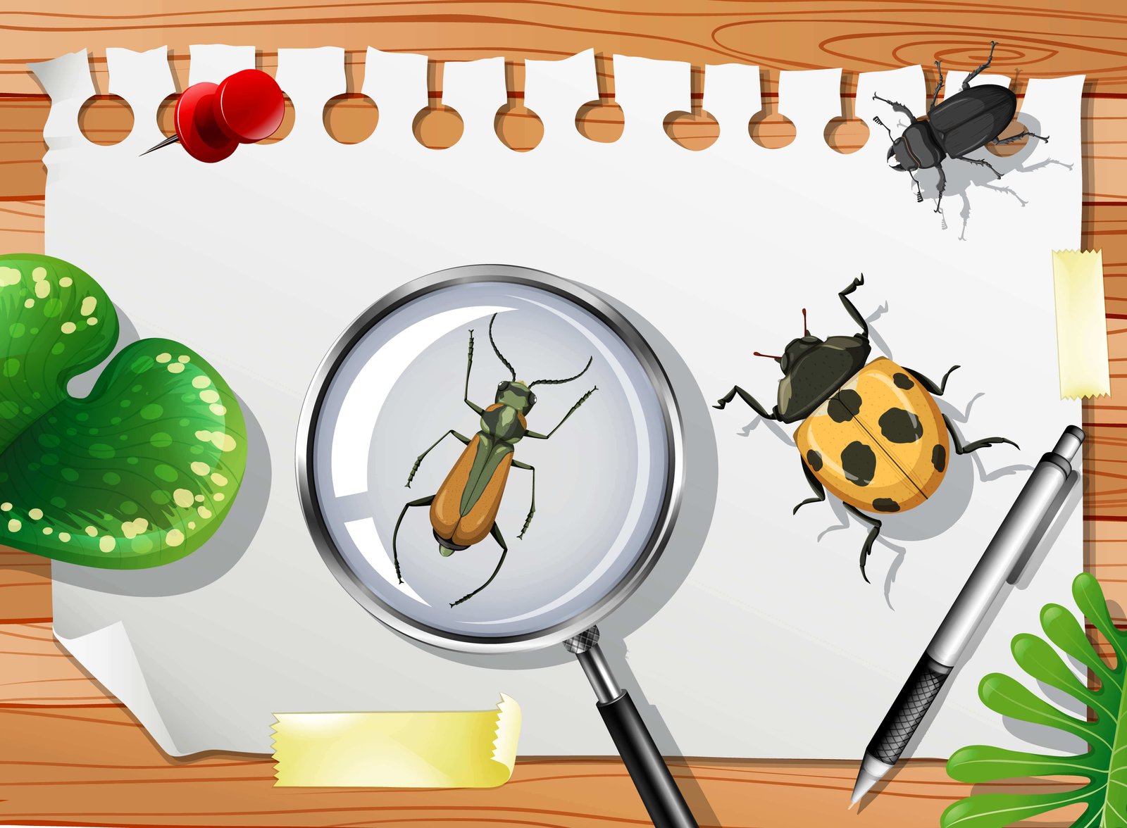effective pest control sharjah