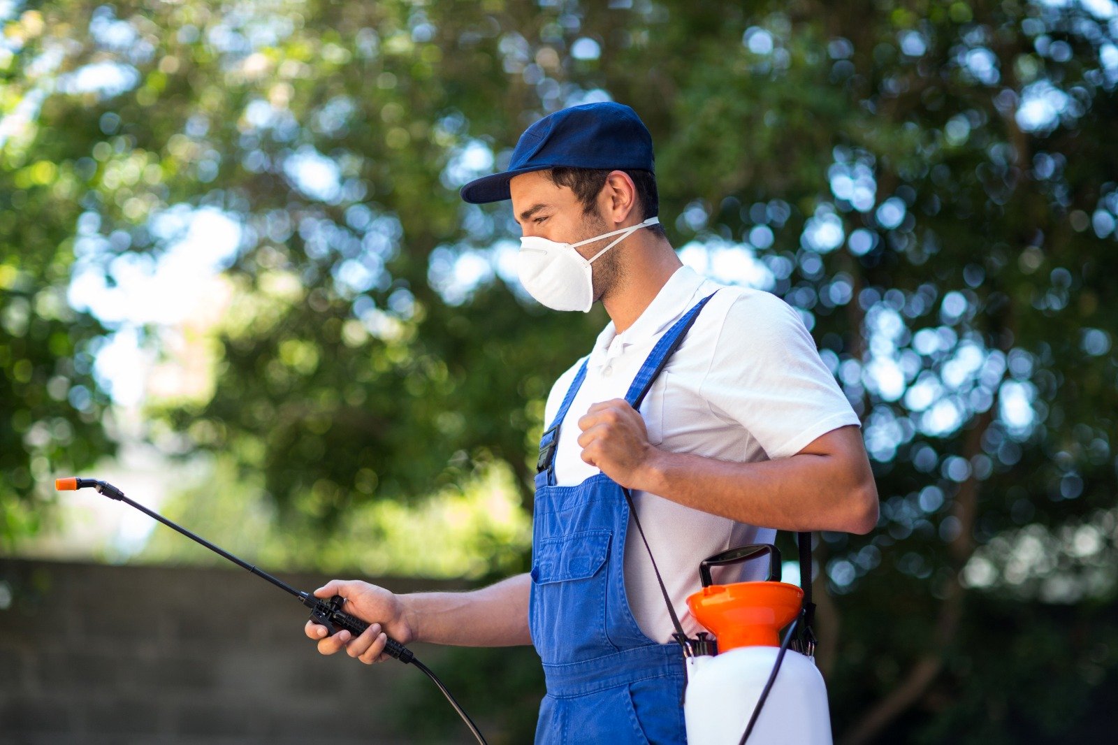 How to Detect Pests Early for Effective Control