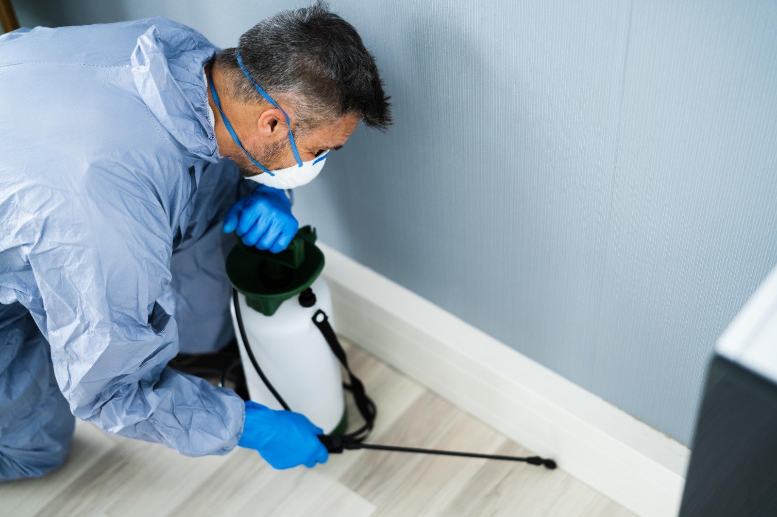 How to Detect Pests Early for Effective Control