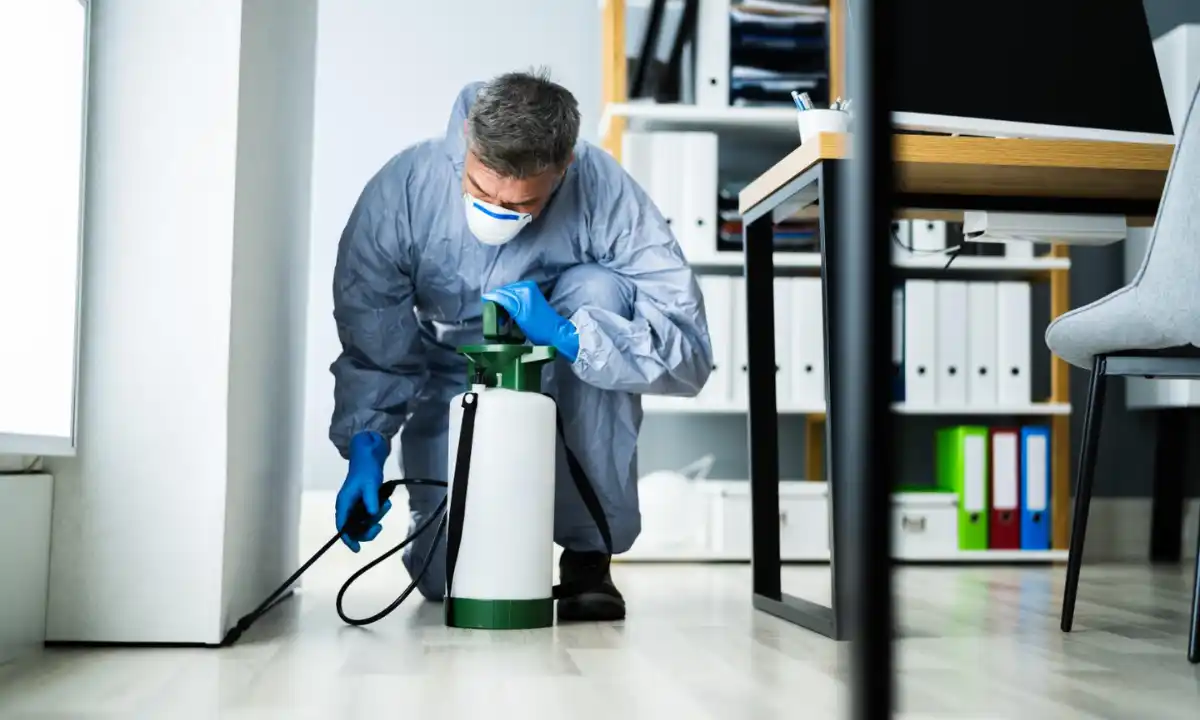 Apartment Pest Control in Sharjah