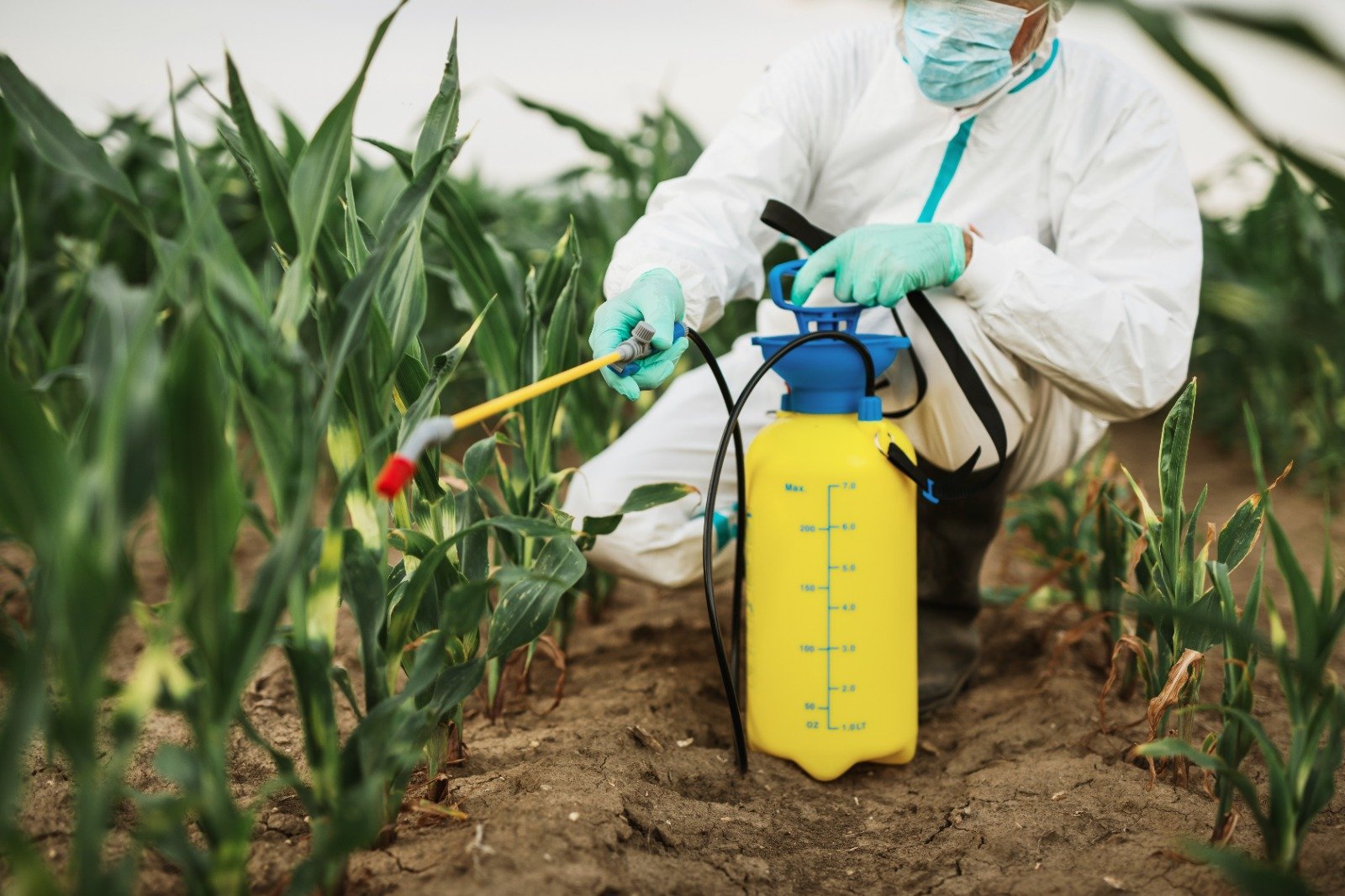 How to Keep Your Garden & Outdoor Spaces Pest-Free?