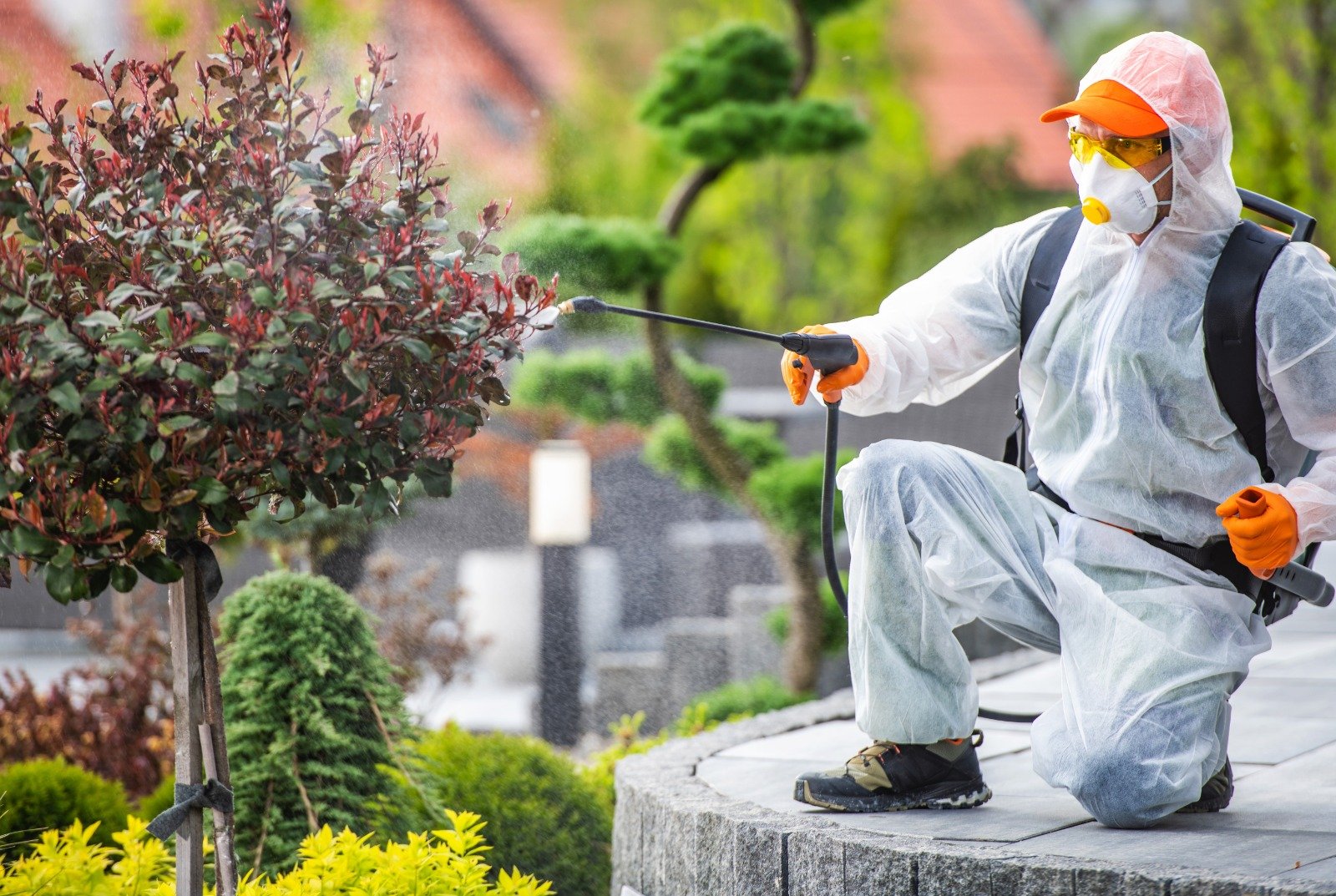 How to Keep Your Garden & Outdoor Spaces Pest-Free? 