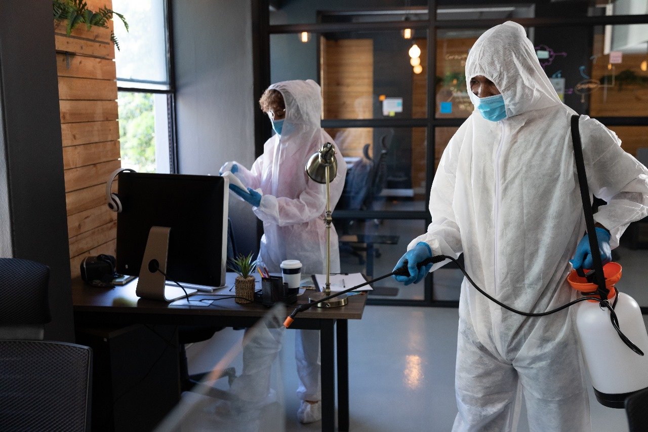 Office Spaces & Pest Prevention: Why Regular PestControl is a Must?