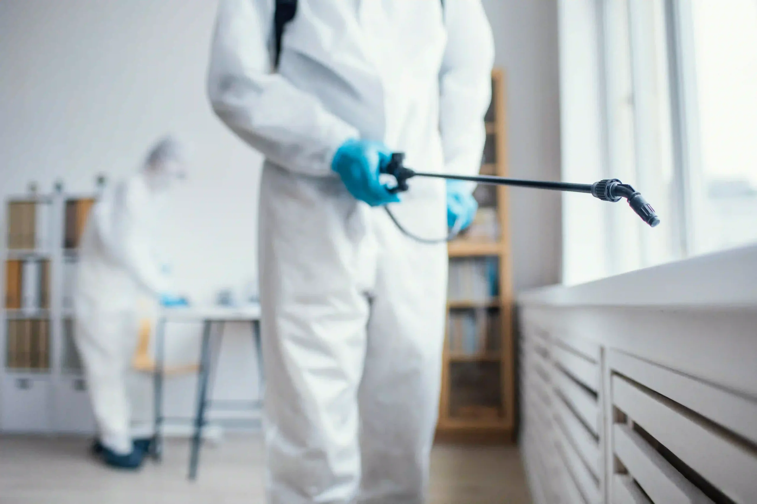 cockroach control services in Sharjah