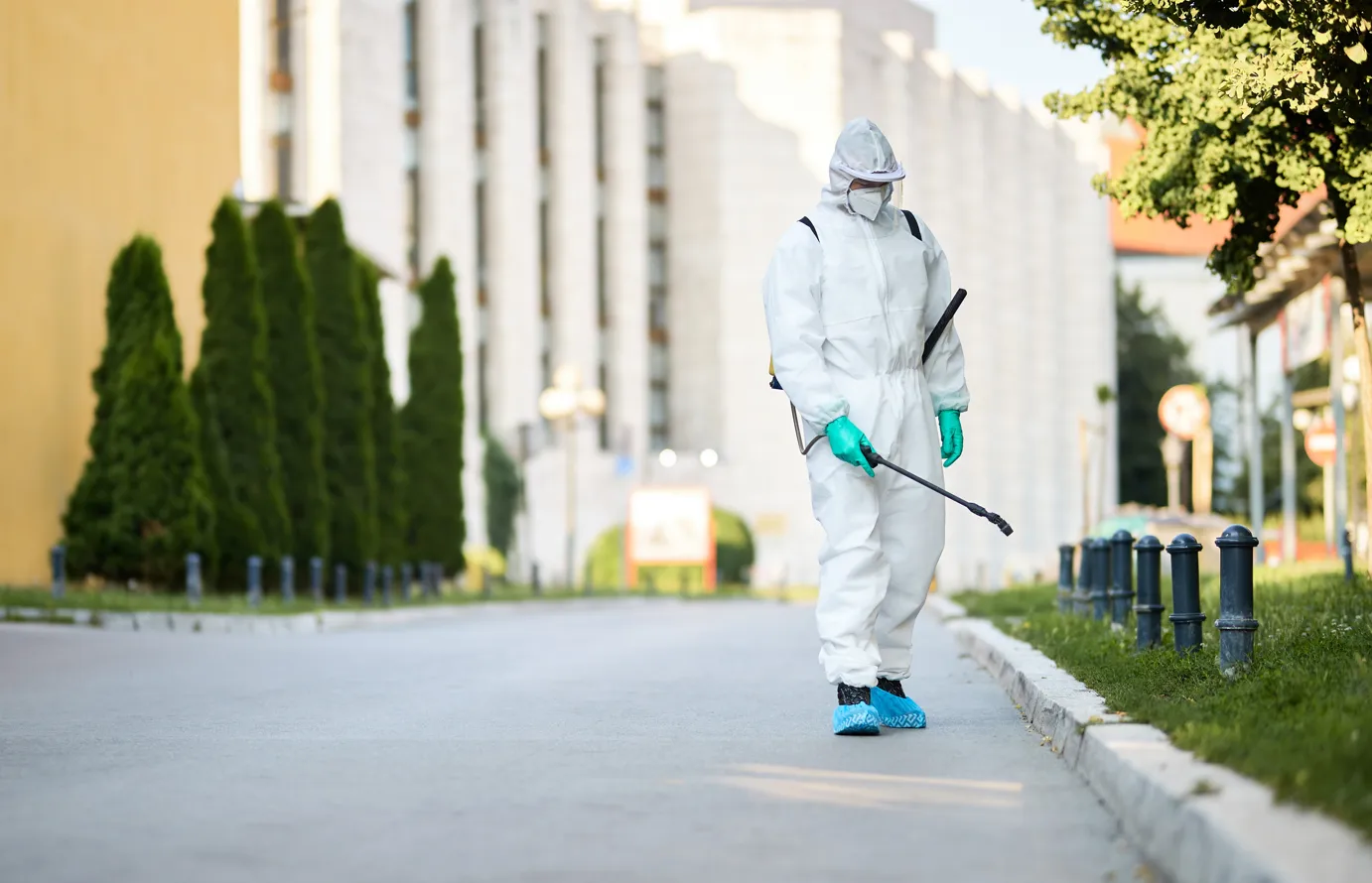 indoor pest control for homes in sharjah