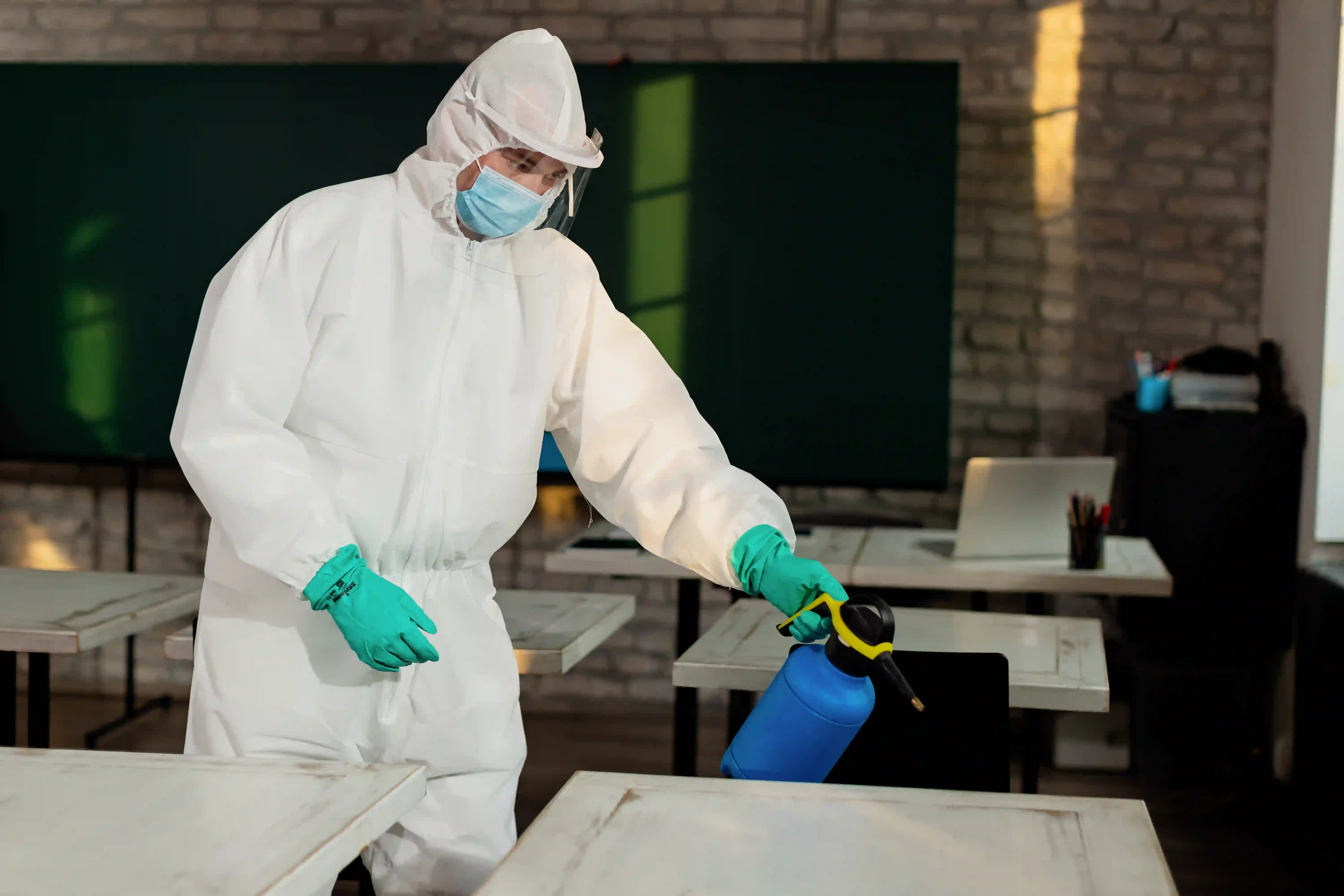 Natural Methods to Keep Pests Away