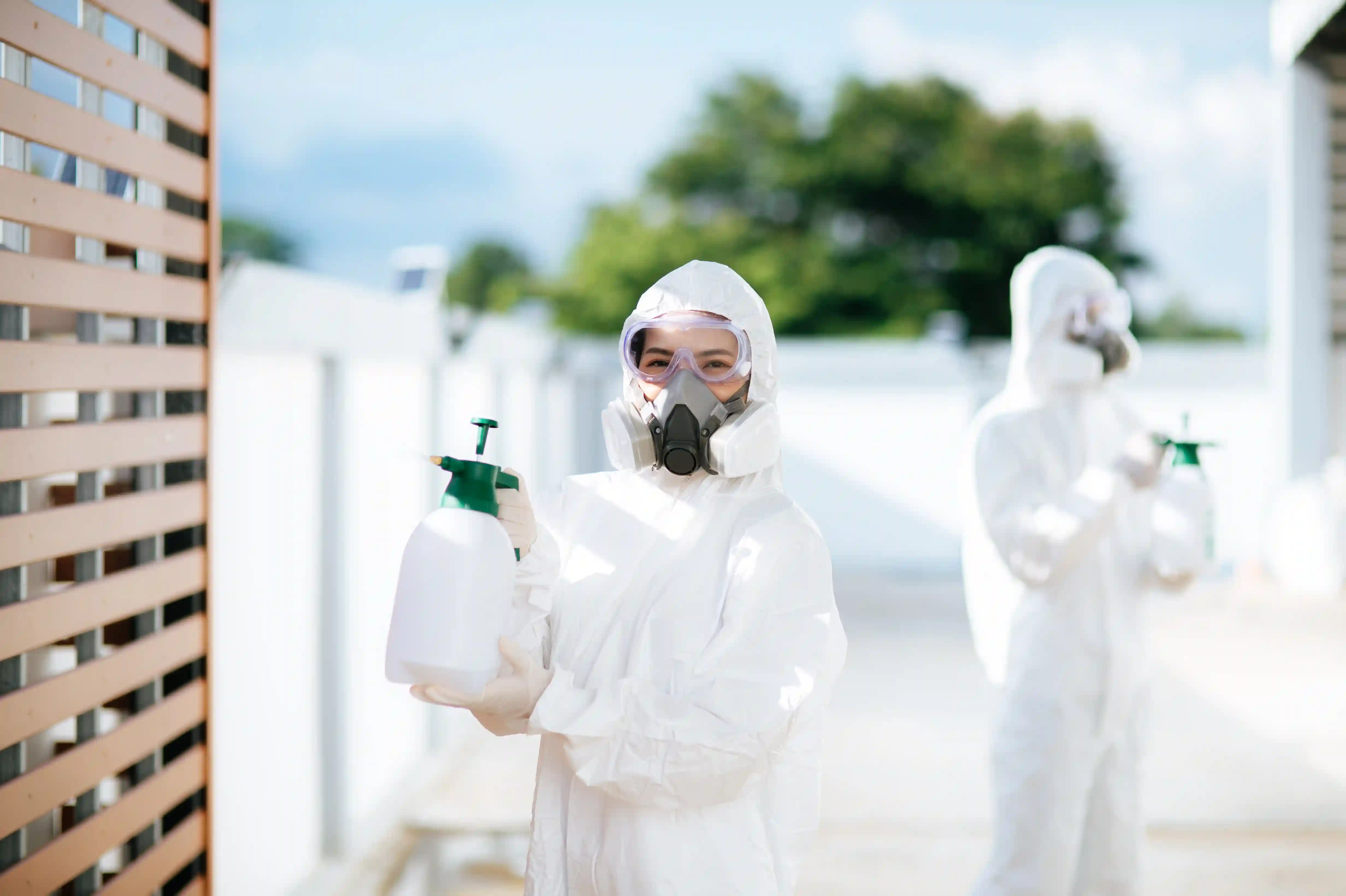 Pest Control in Sharjah