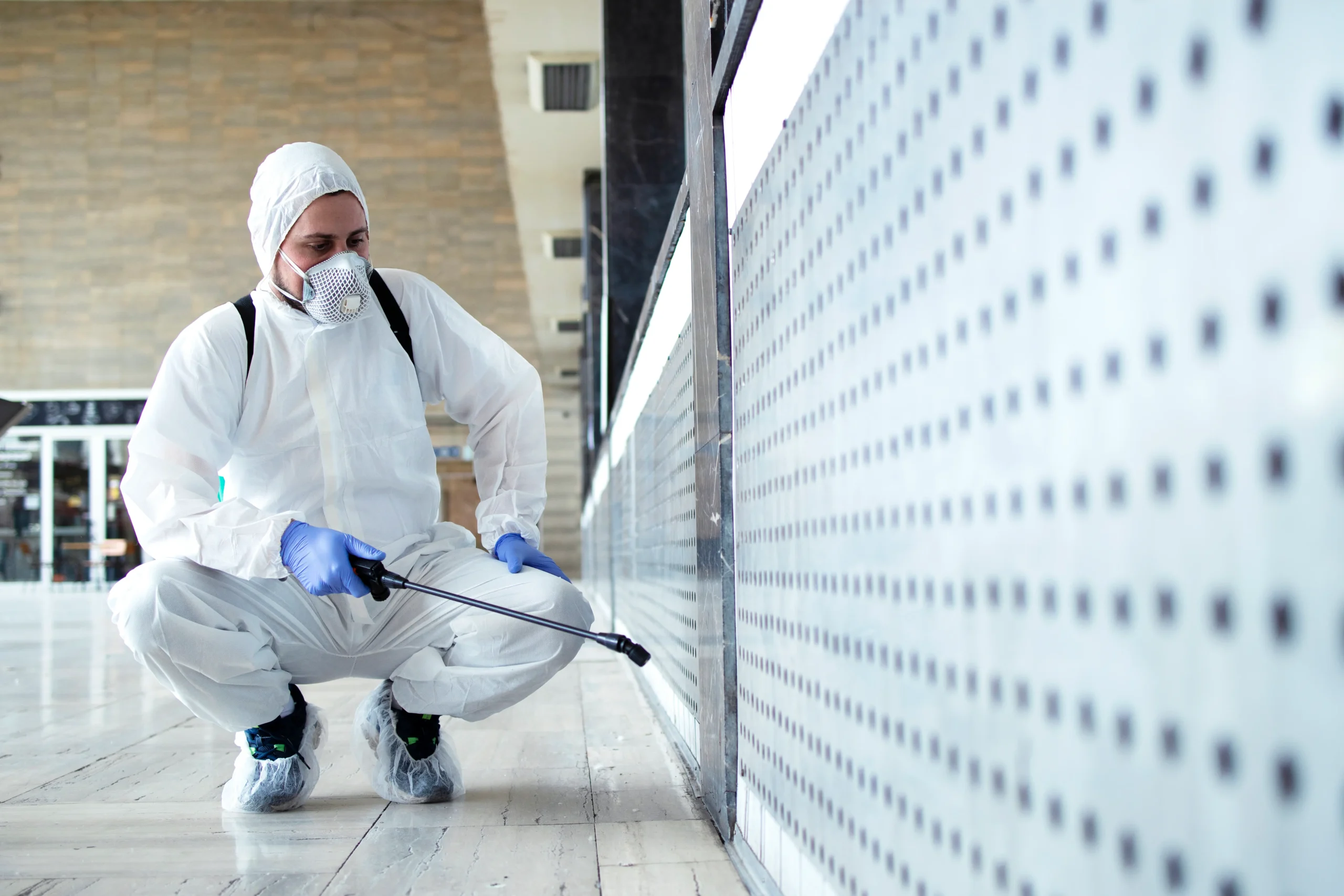 bed bugs pest control sharjah new treatment trends