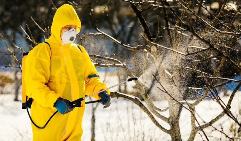 Prevent Winter Pests in Sharjah