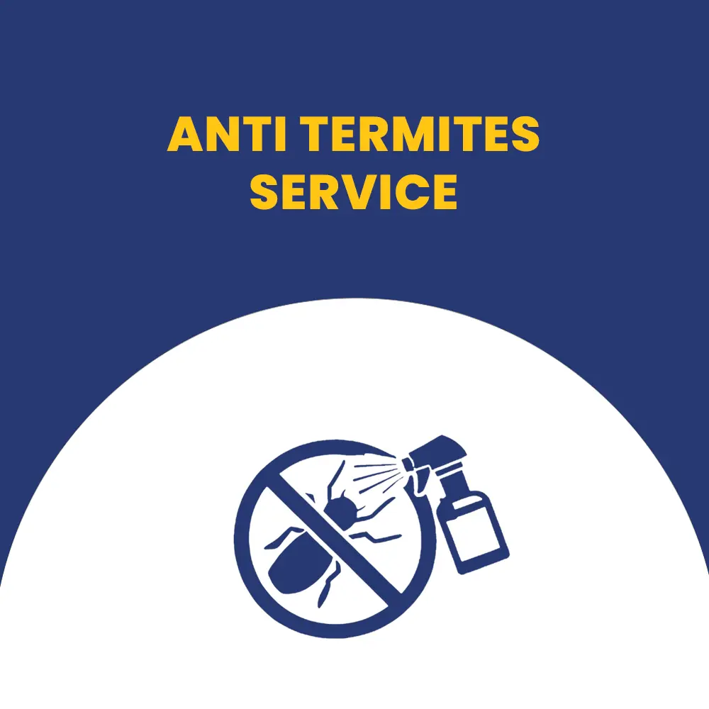 Termite Control
