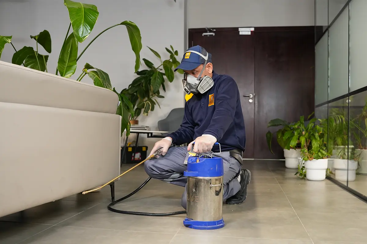 Bed Bug Pest Control Service