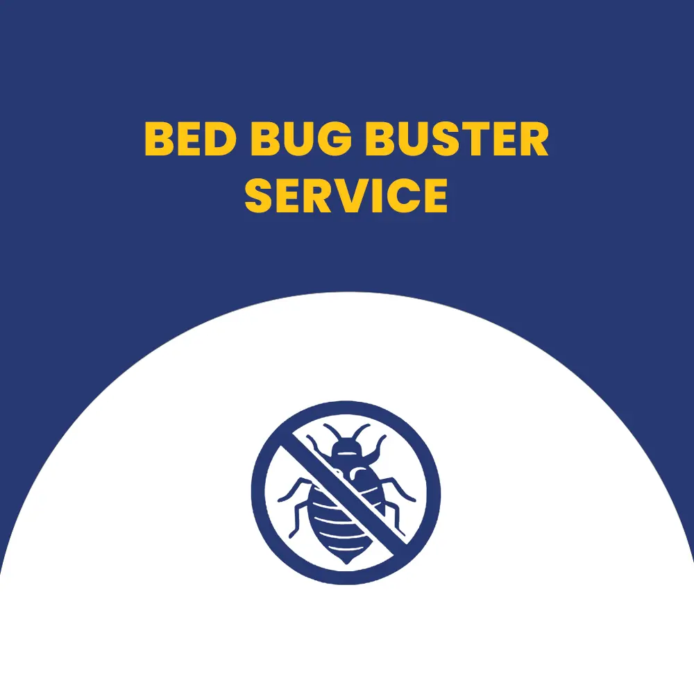 Bed Bug Control