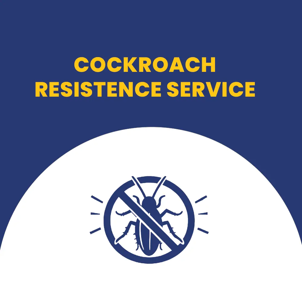 Cockroach Control