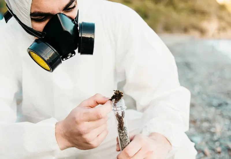 Understanding the Role of Pheromone Traps in Modern Pest Management