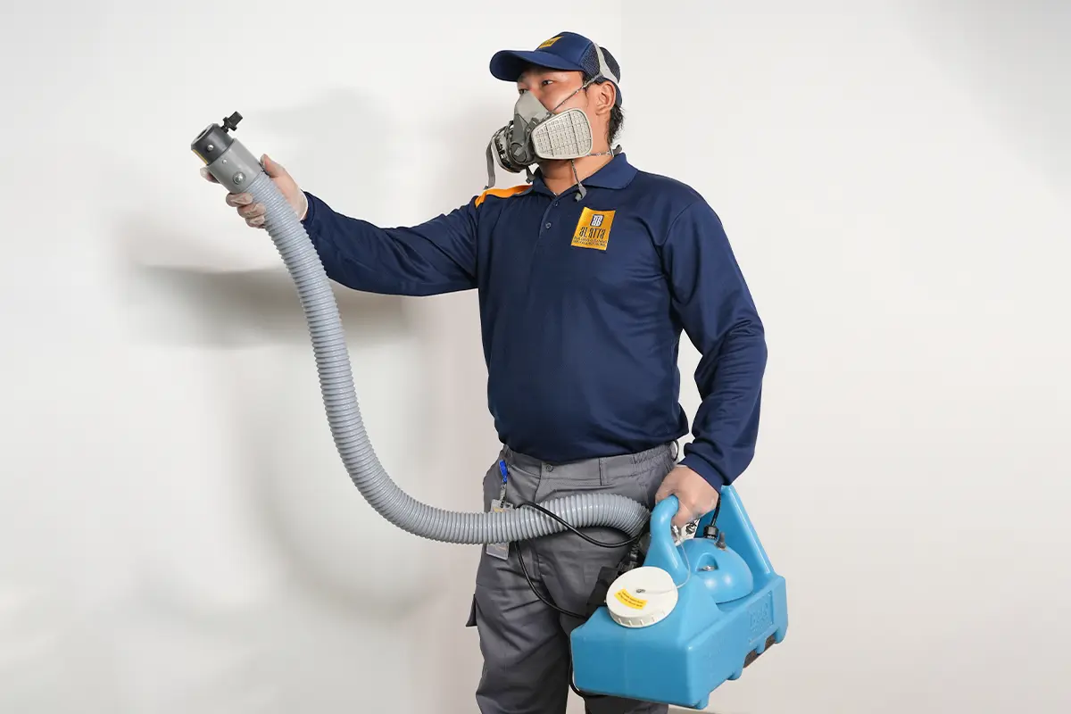 House Disinfection Service