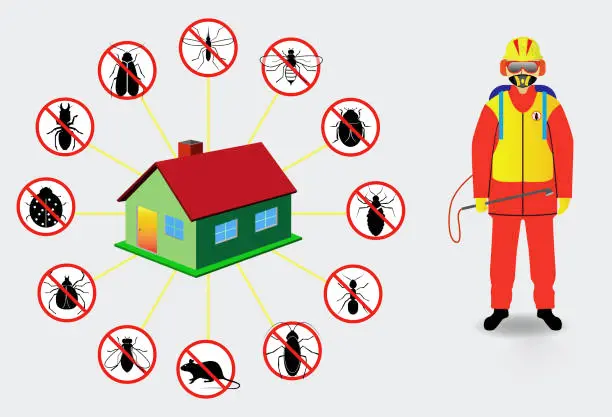 Seasonal Pests in Sharjah