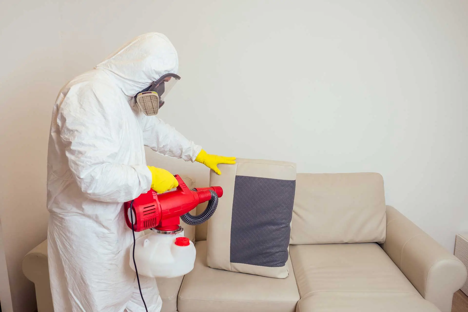 Sharjah Rare Offenders Identifying and Eliminating