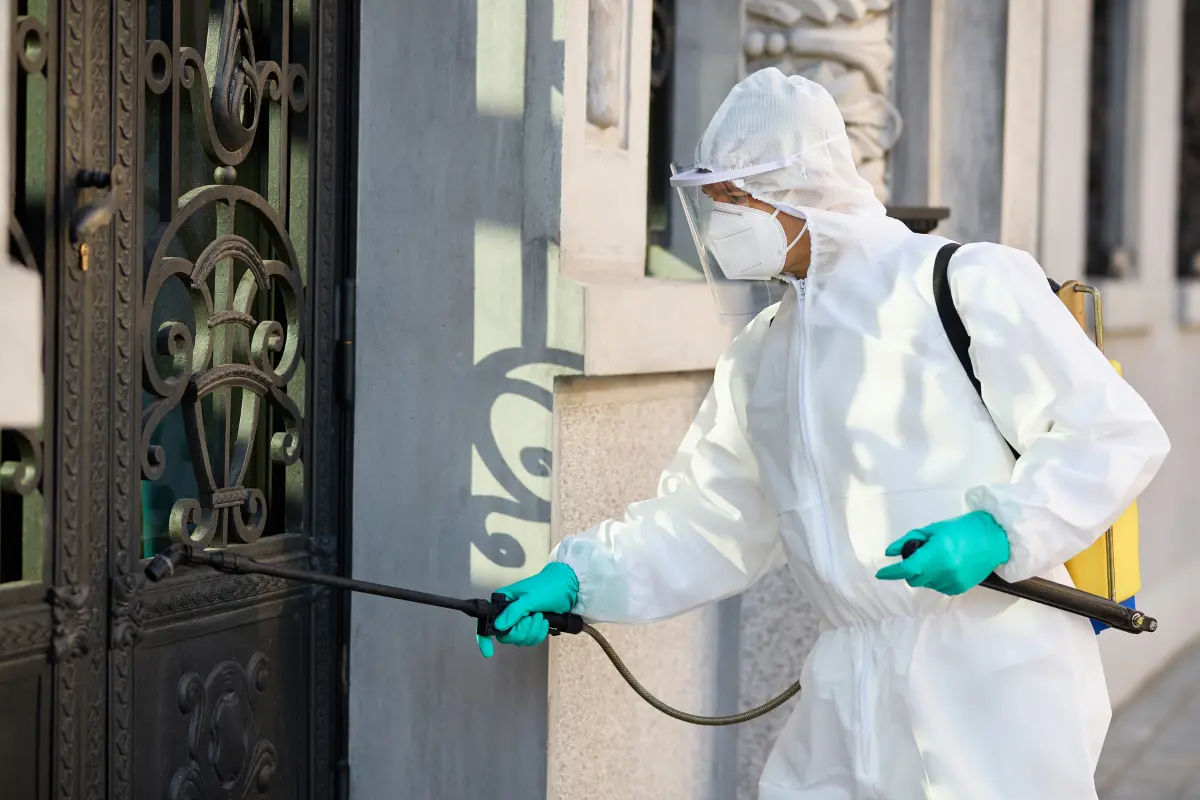 How Professional Building Cleaning Improves Workplace Health