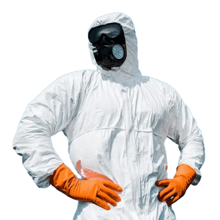 pest control services in Sharjah