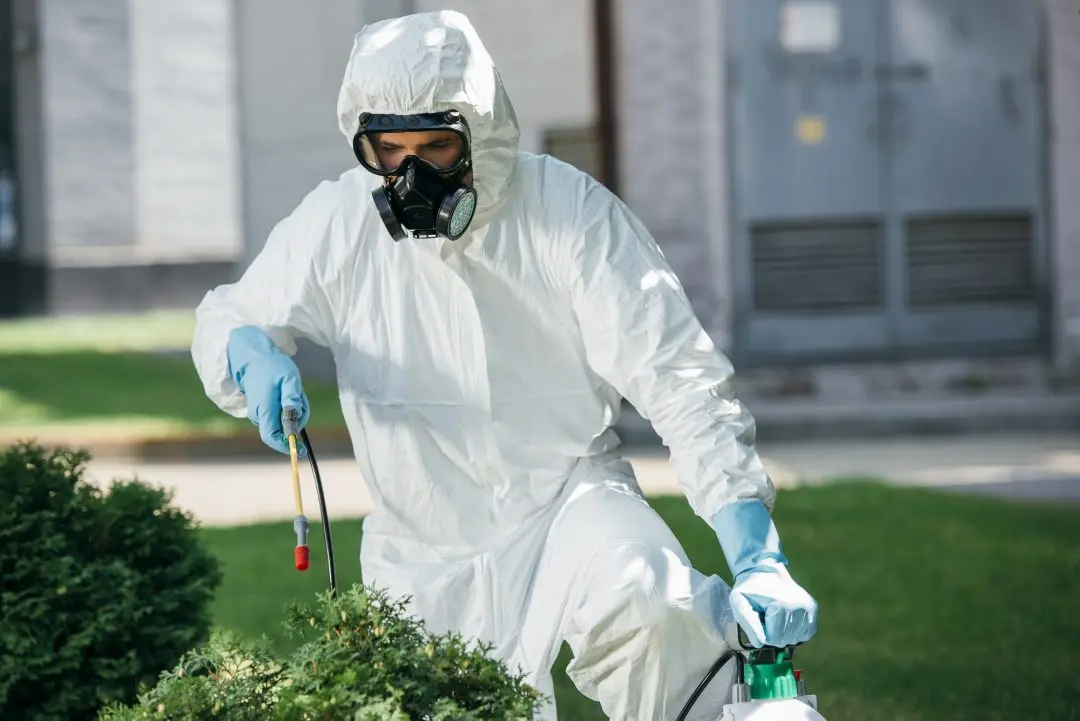 pestcontrol solution