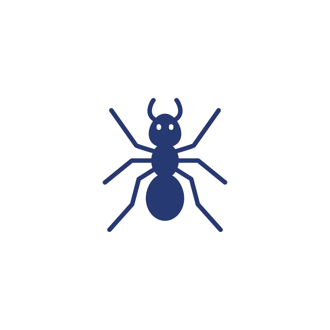 Ant Pest Control