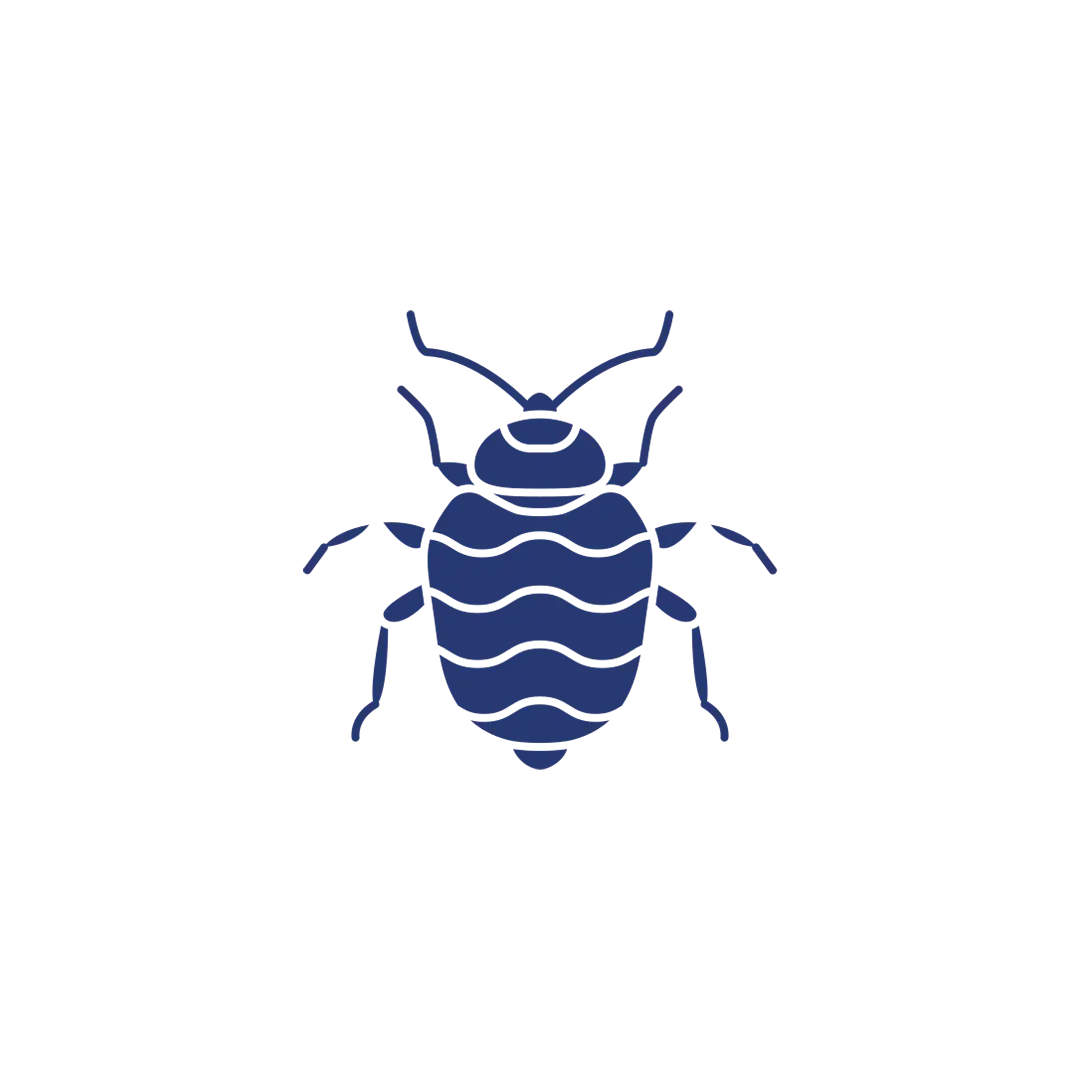 Bed Bug Pest Control
