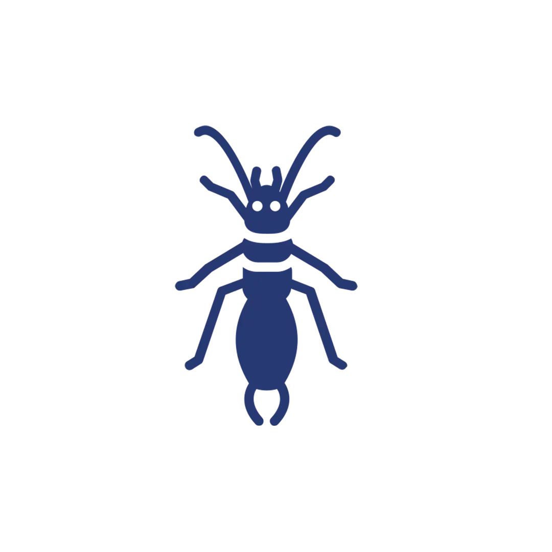 Termite Control