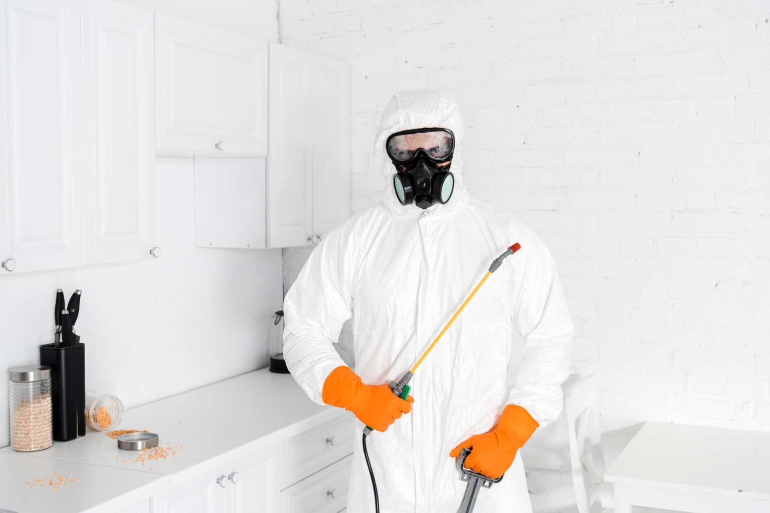 𝐁𝐞𝐬𝐭 Pest Control Service In Sharjah Al Atta Pestcontrol