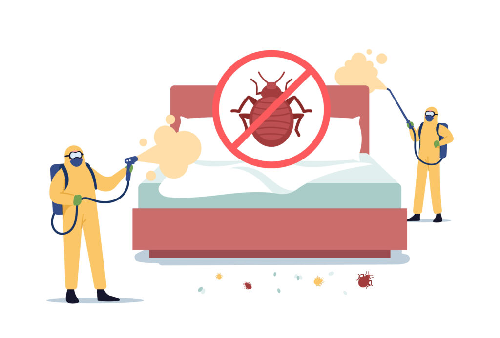best bed bugs pest control in Sharjah