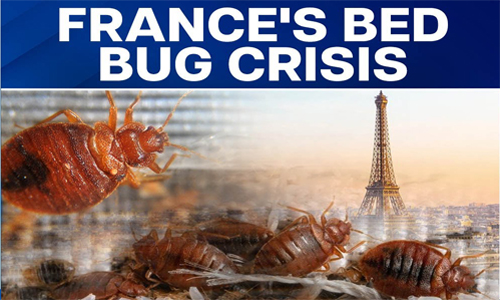 precations of bed bugs