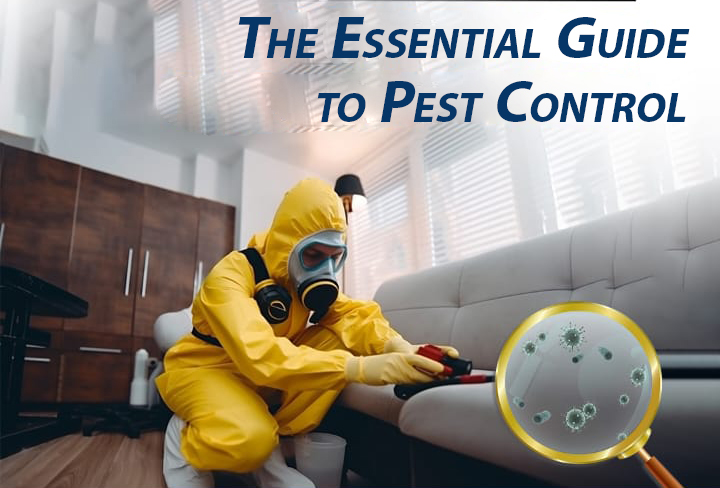 Essential Guide to Pest Control sharjah