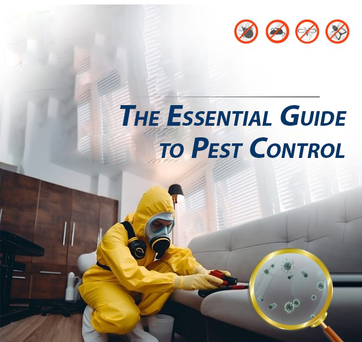 Essential Guide to Pest Control
