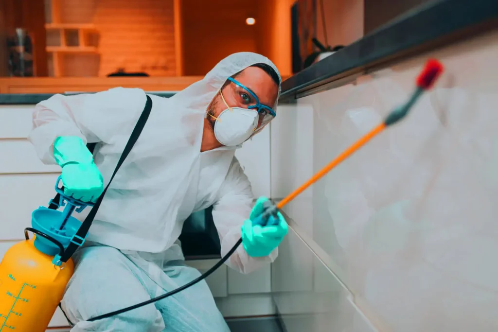 emergency-of-pest-control