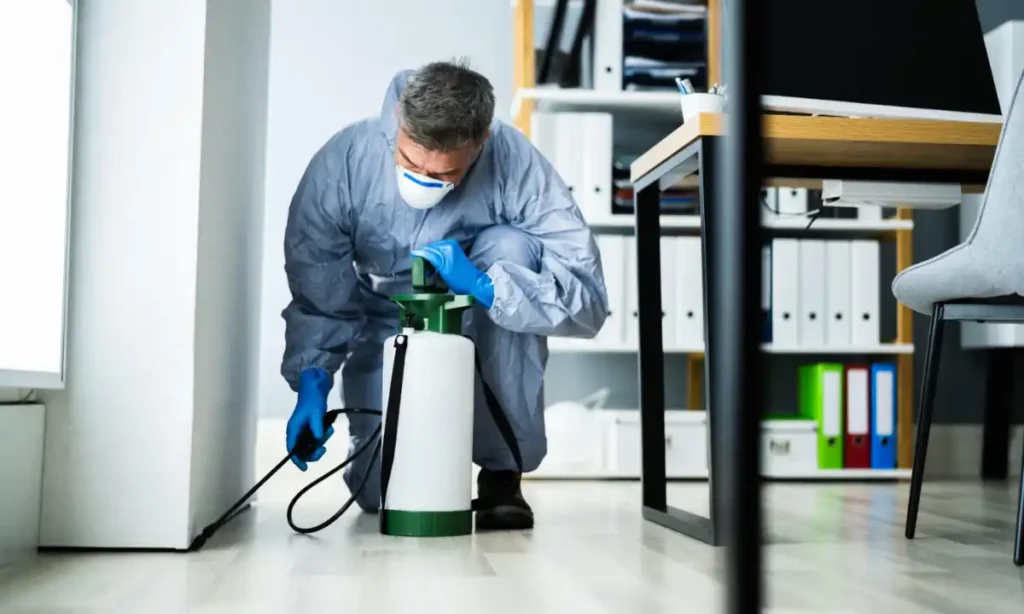 Apartment Pest Control in Sharjah