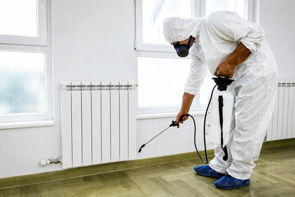 summer pest control tips