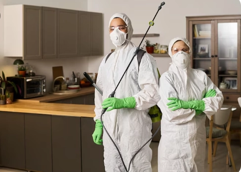 Pest Prevention Tips