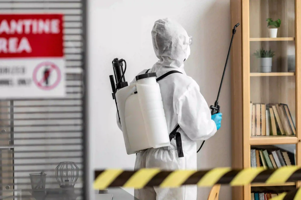 Termite Treatment Services in Sharjah