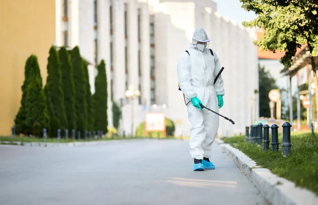 indoor pest control for homes in sharjah