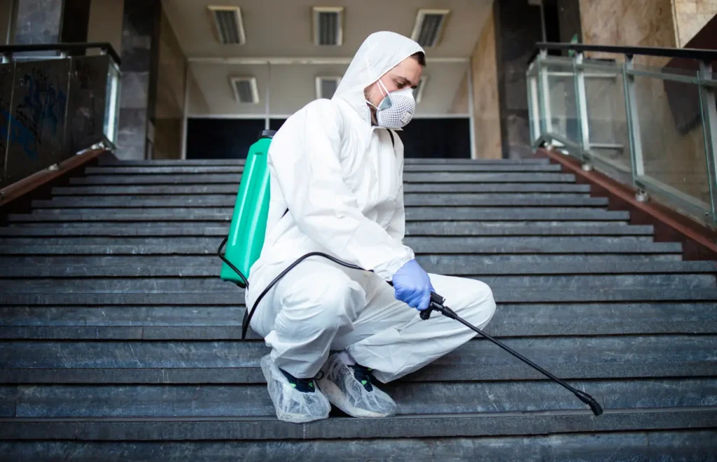 24-7 pest control services sharjah