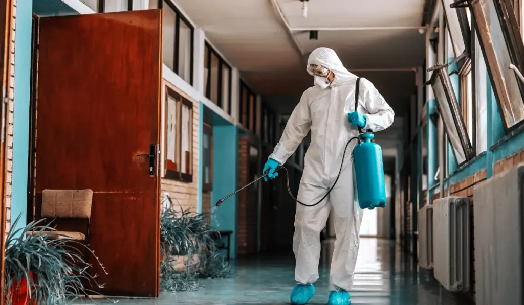 Importance of Monthly Pest Control for Labour Camps in Sharjah