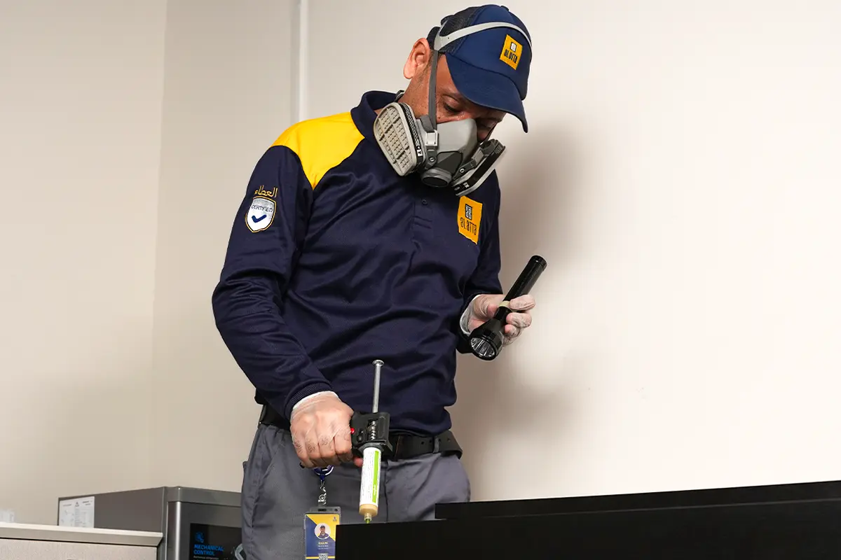 Cockroach Pest Control in Sharjah