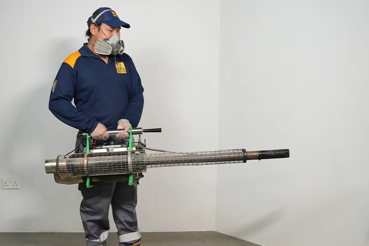 Mosquito Control Service in sharjah