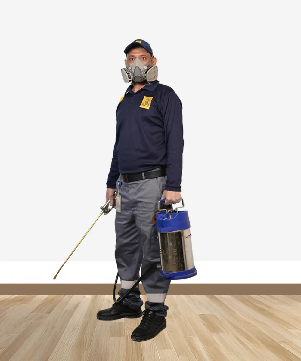 Pest Control Companies in Sharjah