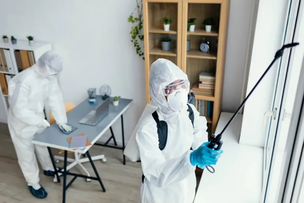 Simple Mistakes that Attract Pests into Your Home