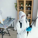Simple Mistakes that Attract Pests into Your Home
