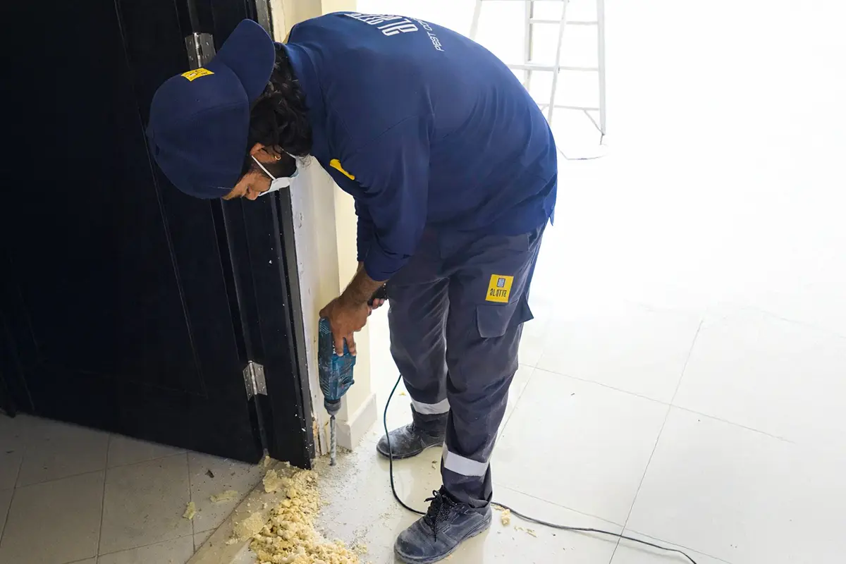 Termite control service in Sharjah