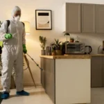 Commercial Pest Control Sharjah