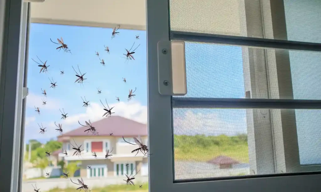 Why Mosquito Control is Important for Homes in Urban Areas